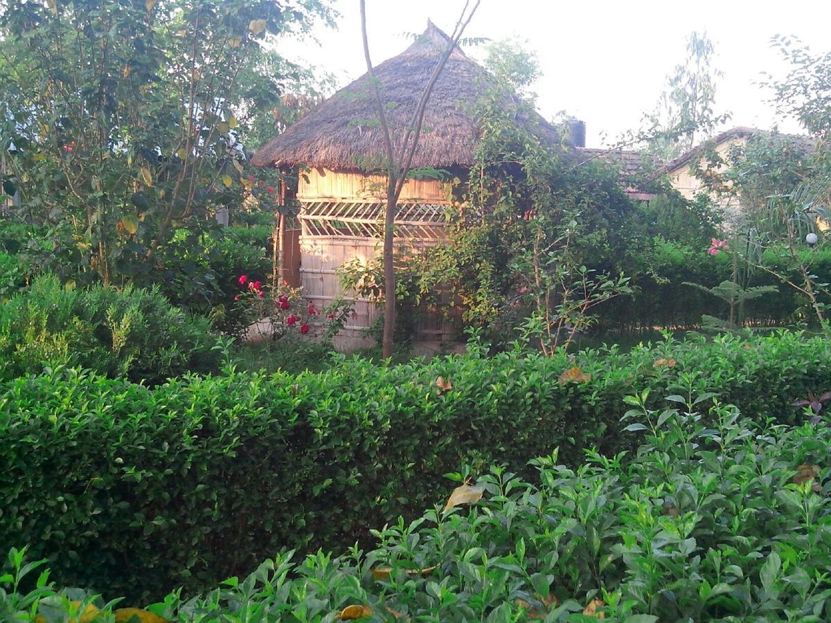Bardia Kingfisher Resort Dhakela Quarto foto